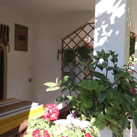 Apartment Biskup 