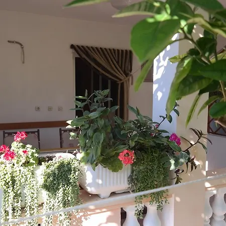 Apartment Biskup 