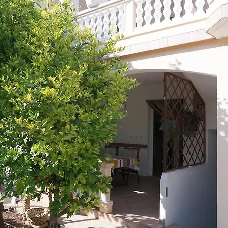 Apartment Biskup 