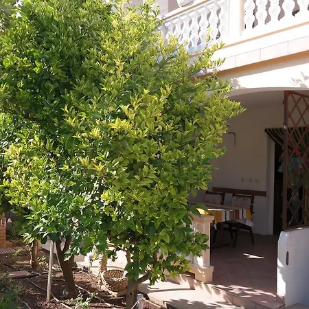 Apartment Biskup 