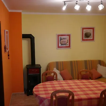 Apartment Biskup 