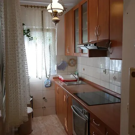 Apartment Biskup 