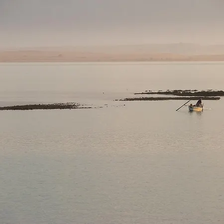 Biskup 